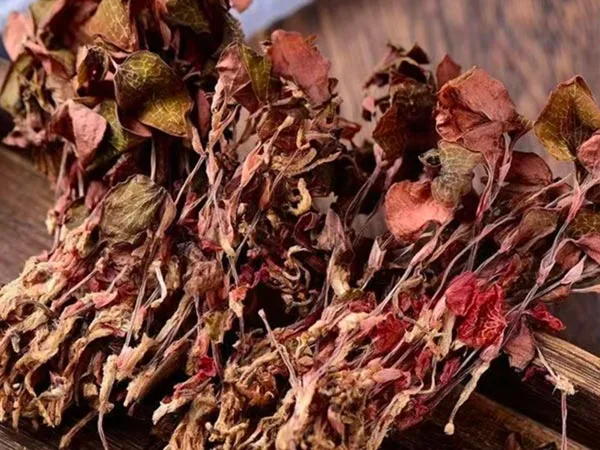 सुपर ग्रेड ड्राइड एनोएक्टोचिलस रोक्सबर्गी स्पेशलिटी बजारहरूमा आइपुग्छ