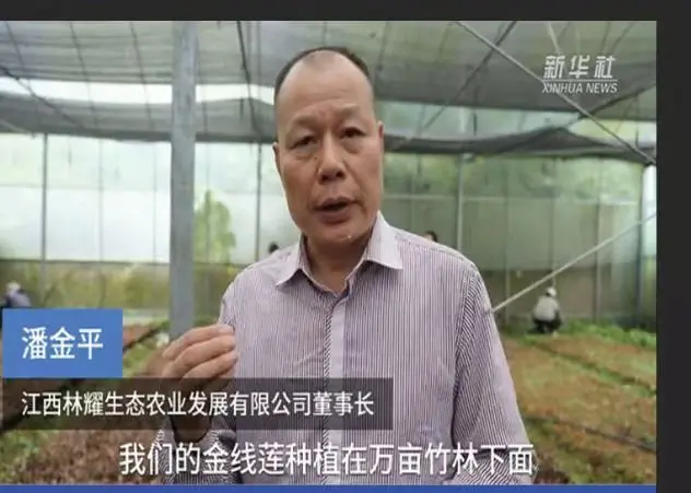 Jiangxi Linyao Ecological Agriculture Development Co., Ltd का अध्यक्ष पान जिनपिङले सिन्ह्वा समाचार एजेन्सीद्वारा अन्तर्वार्ता लिनुभएको